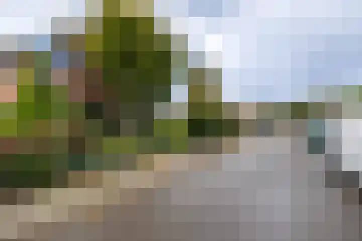 Nico Werkmanlaan 8 Almelo thumbnail 18