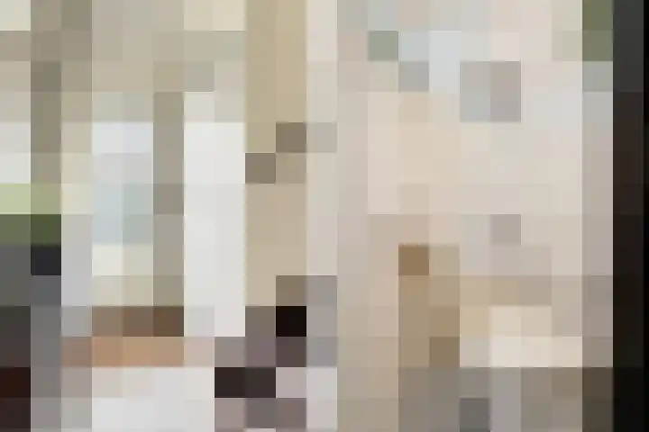 Nico Werkmanlaan 9 Almelo thumbnail 15
