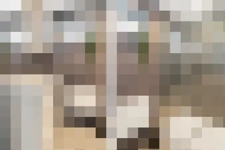 Nico Werkmanlaan 9 Almelo thumbnail 20