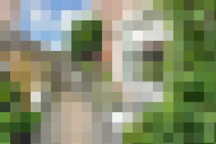 Nico Werkmanlaan 9 Almelo thumbnail 25