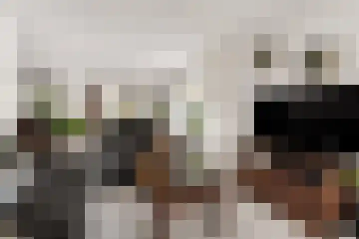 Nico Werkmanlaan 9 Almelo thumbnail 5