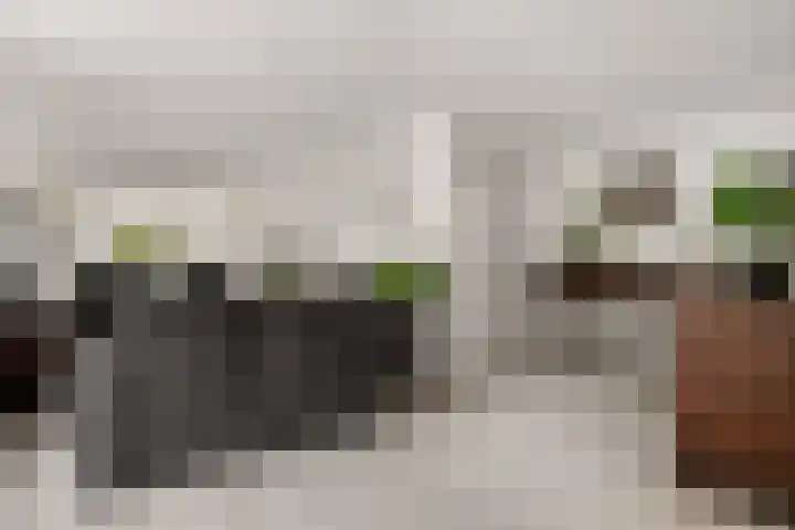 Nico Werkmanlaan 9 Almelo thumbnail 7