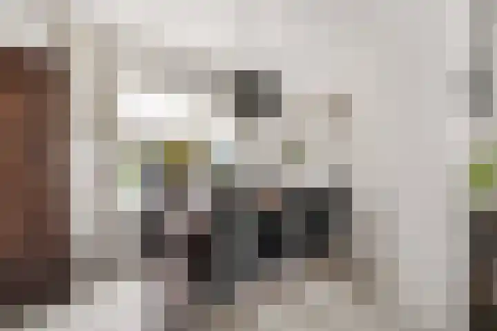 Nico Werkmanlaan 9 Almelo thumbnail 9