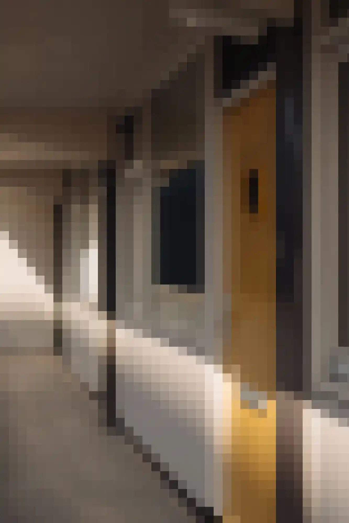 Nicolaas Anslijnstraat 12 B Amsterdam thumbnail 24
