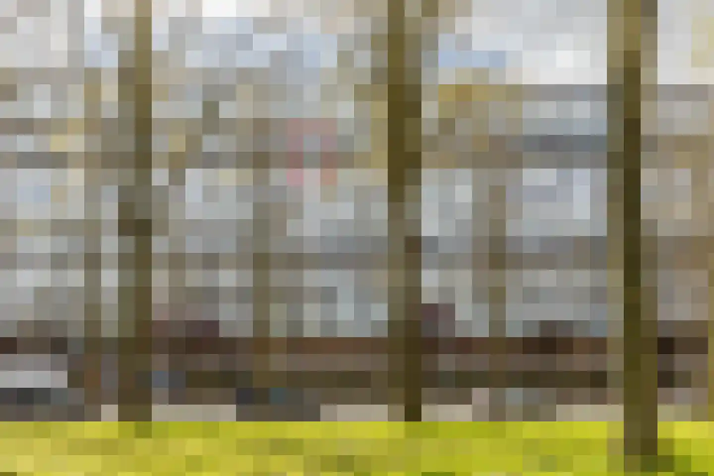 Nicolaas Anslijnstraat 160 Amsterdam thumbnail 4