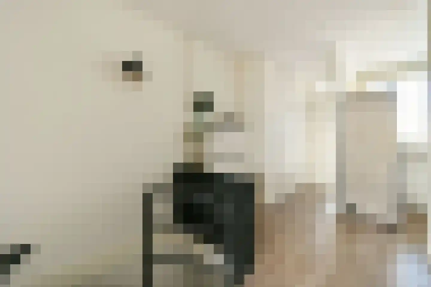 Nicolaas Anslijnstraat 161 Amsterdam thumbnail 10