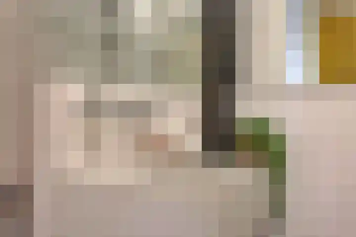 Nicolaas Anslijnstraat 186 Amsterdam thumbnail 28