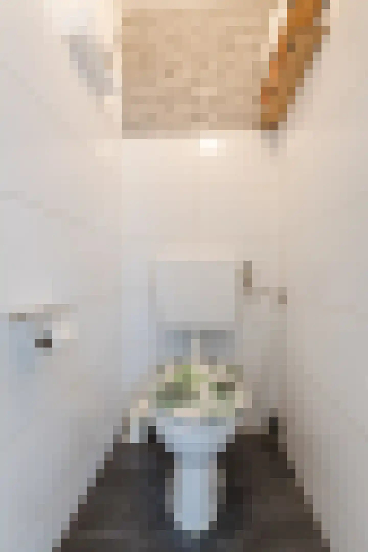 Nicolaas Anslijnstraat 26 Amsterdam thumbnail 14