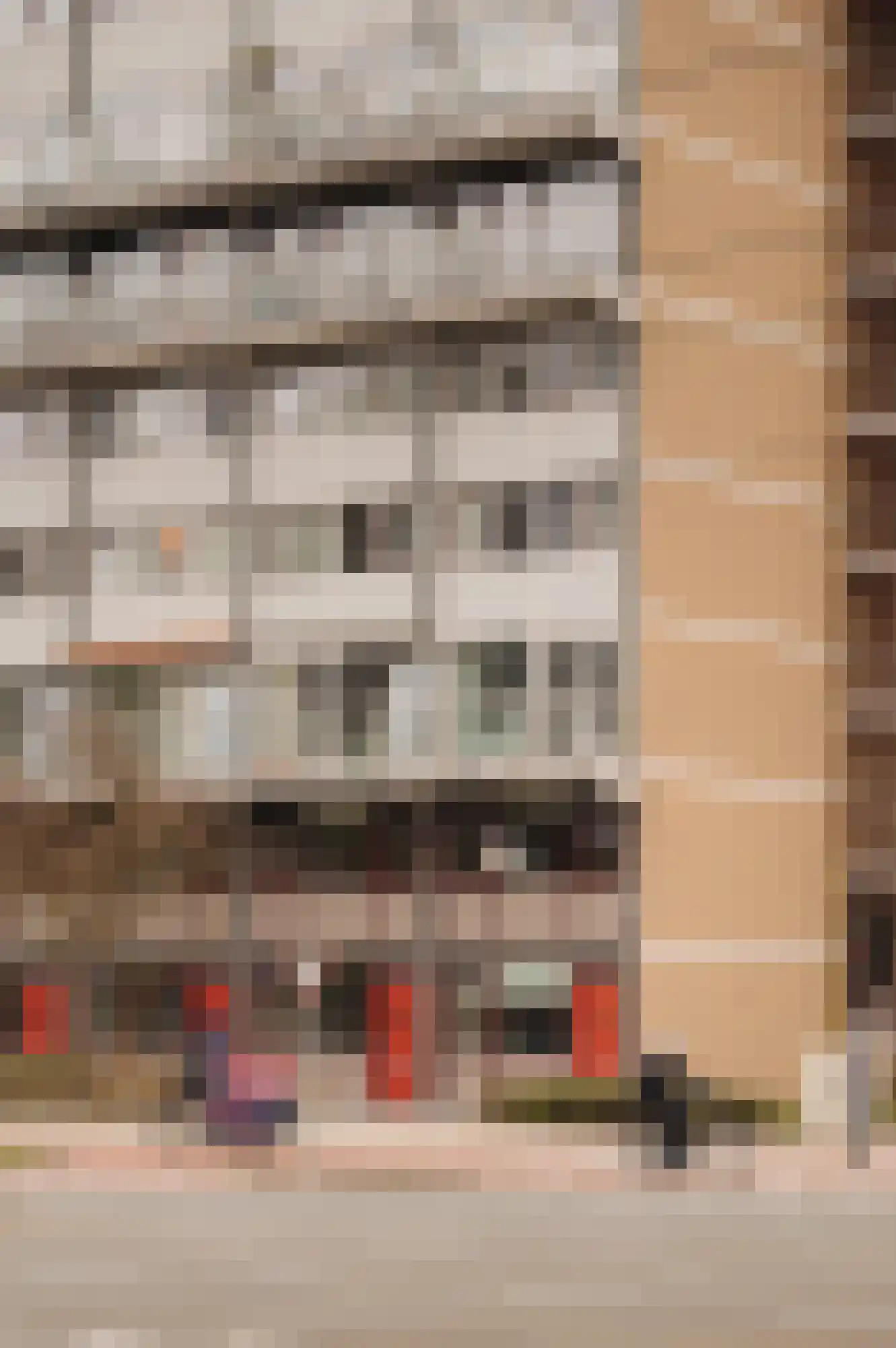 Nicolaas Anslijnstraat 310 Amsterdam thumbnail 17