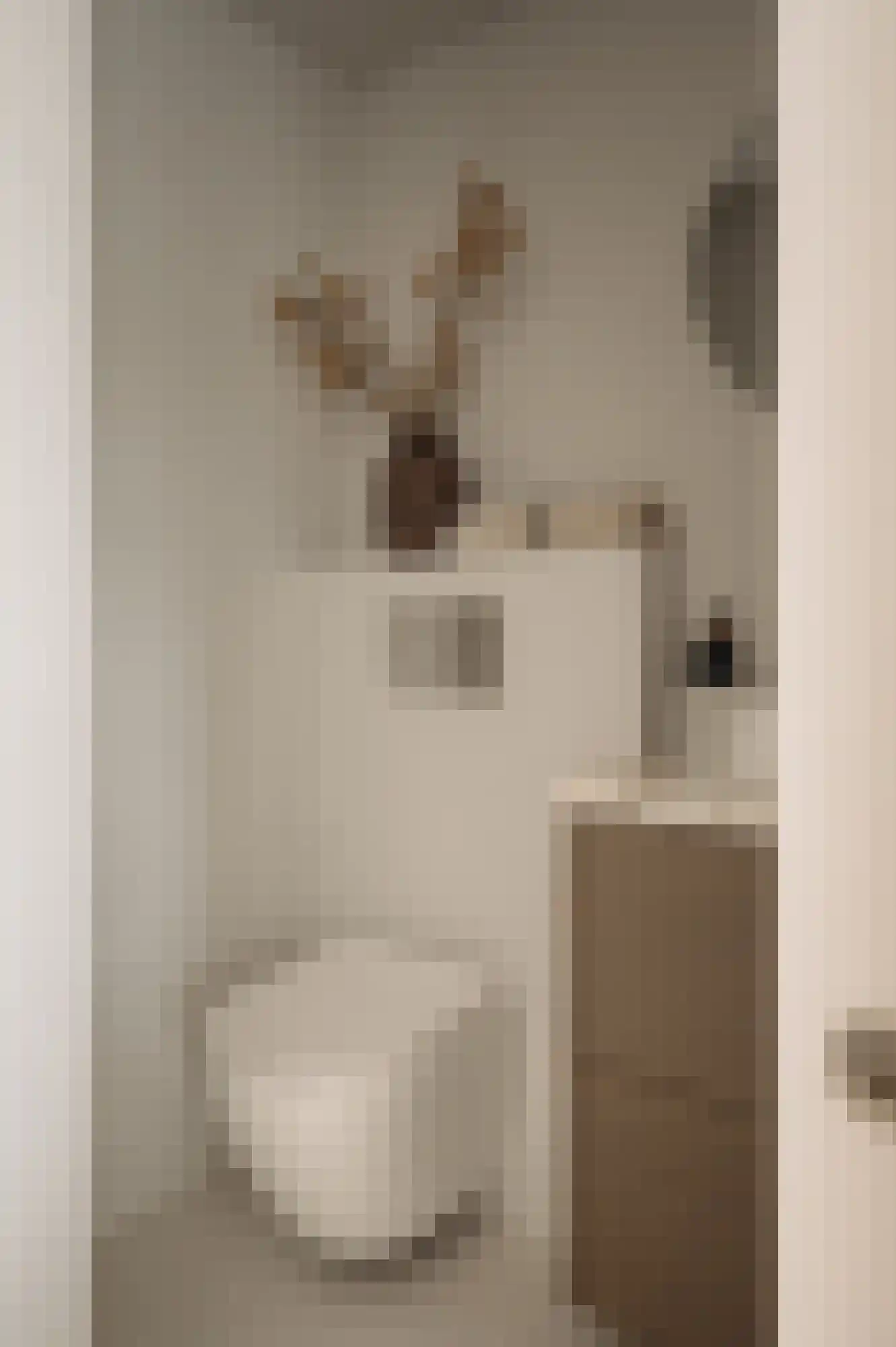 Nicolaas Anslijnstraat 310 Amsterdam thumbnail 6