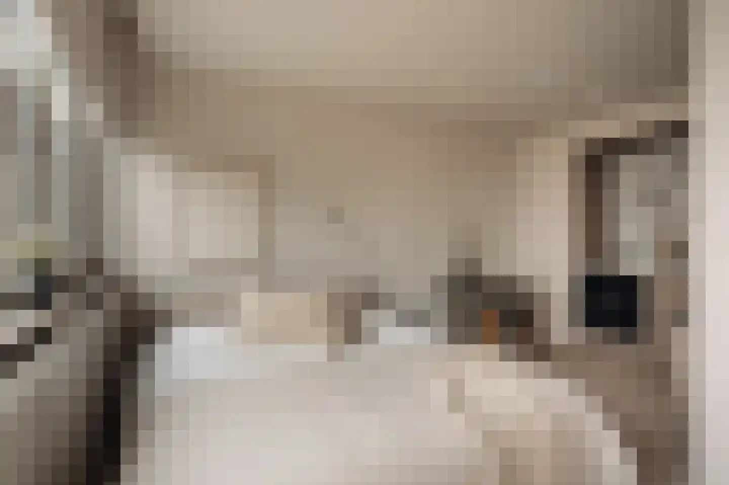 Nicolaas Anslijnstraat 310 Amsterdam thumbnail 9