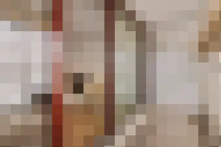 Nicolaas Anslijnstraat 37 Amsterdam thumbnail 5