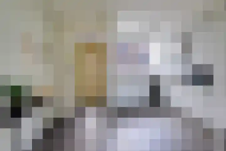 Nicolaas Anslijnstraat 86 Amsterdam thumbnail 6