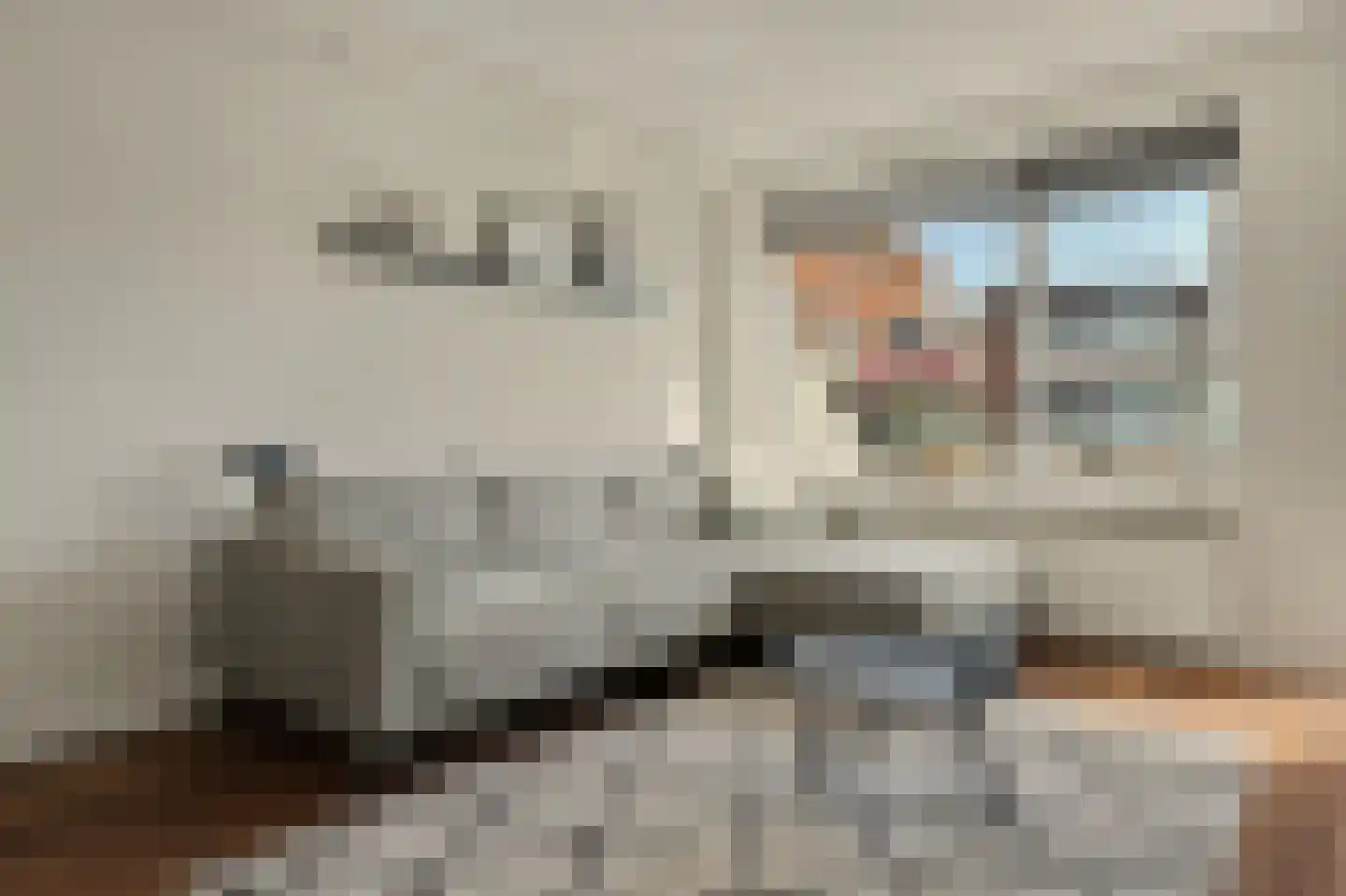 Nicolaas Arie van der Burgsingel 74 Schiedam thumbnail 10