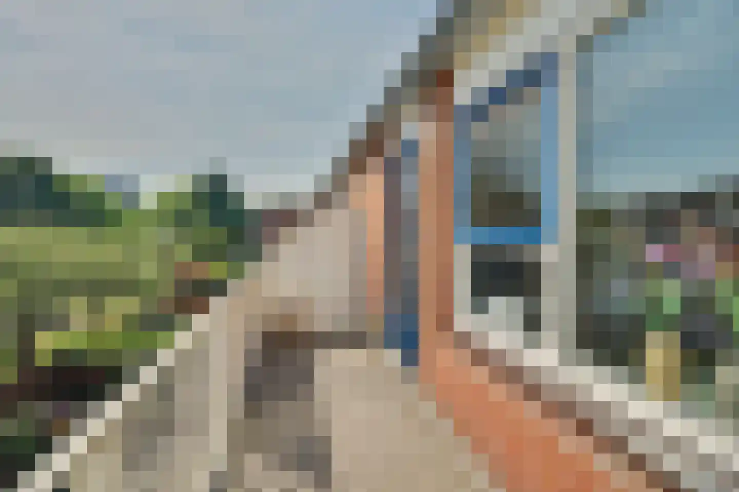 Nicolaas Arie van der Burgsingel 74 Schiedam thumbnail 16