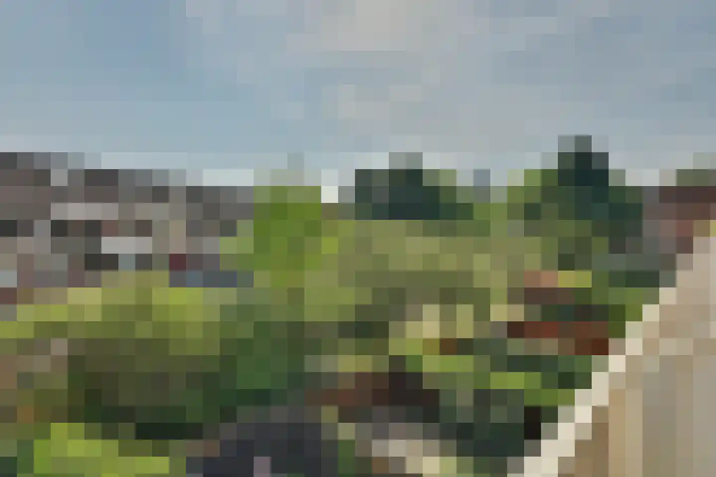 Nicolaas Arie van der Burgsingel 74 Schiedam thumbnail 17