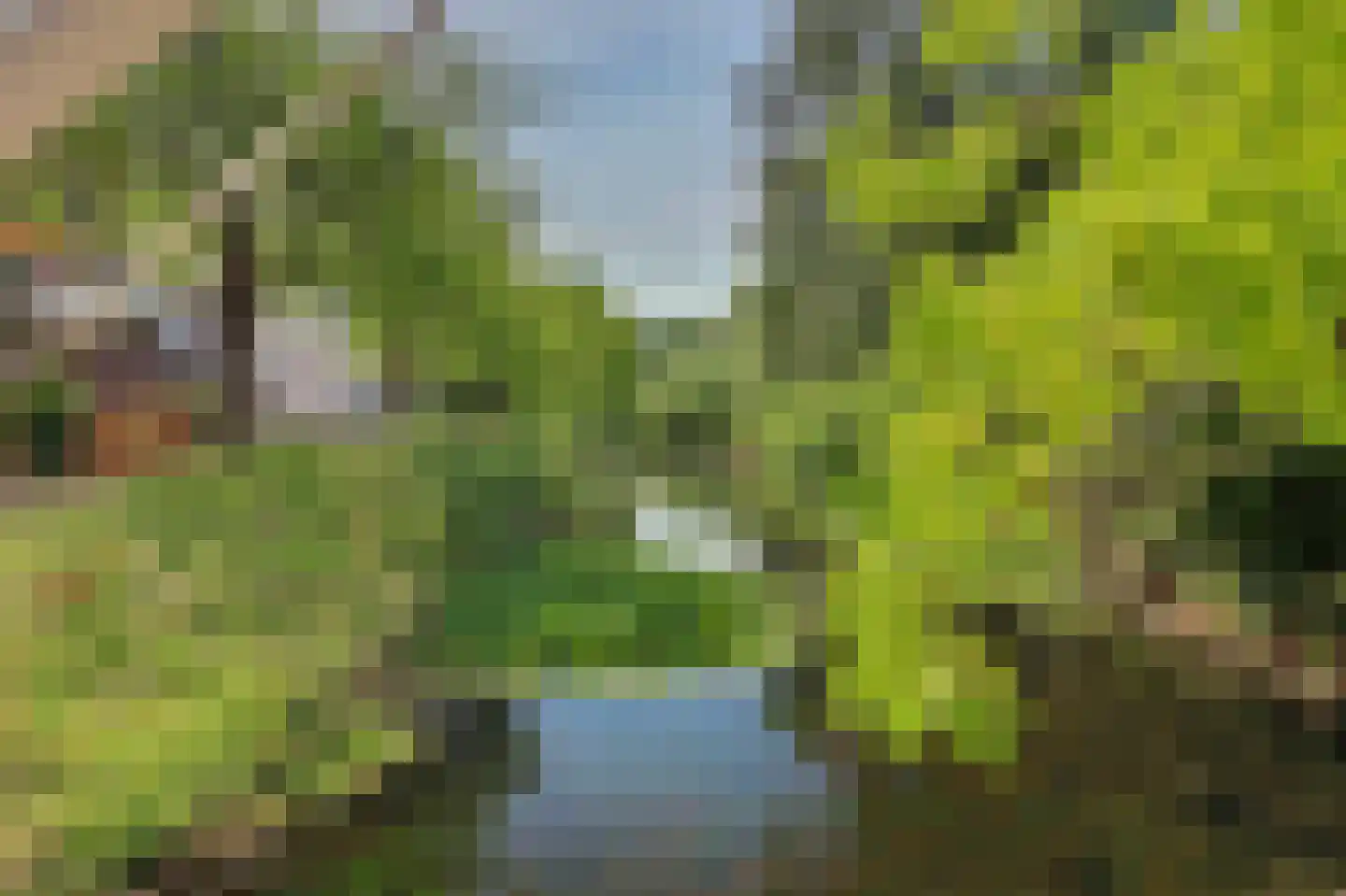 Nicolaas Arie van der Burgsingel 74 Schiedam thumbnail 30