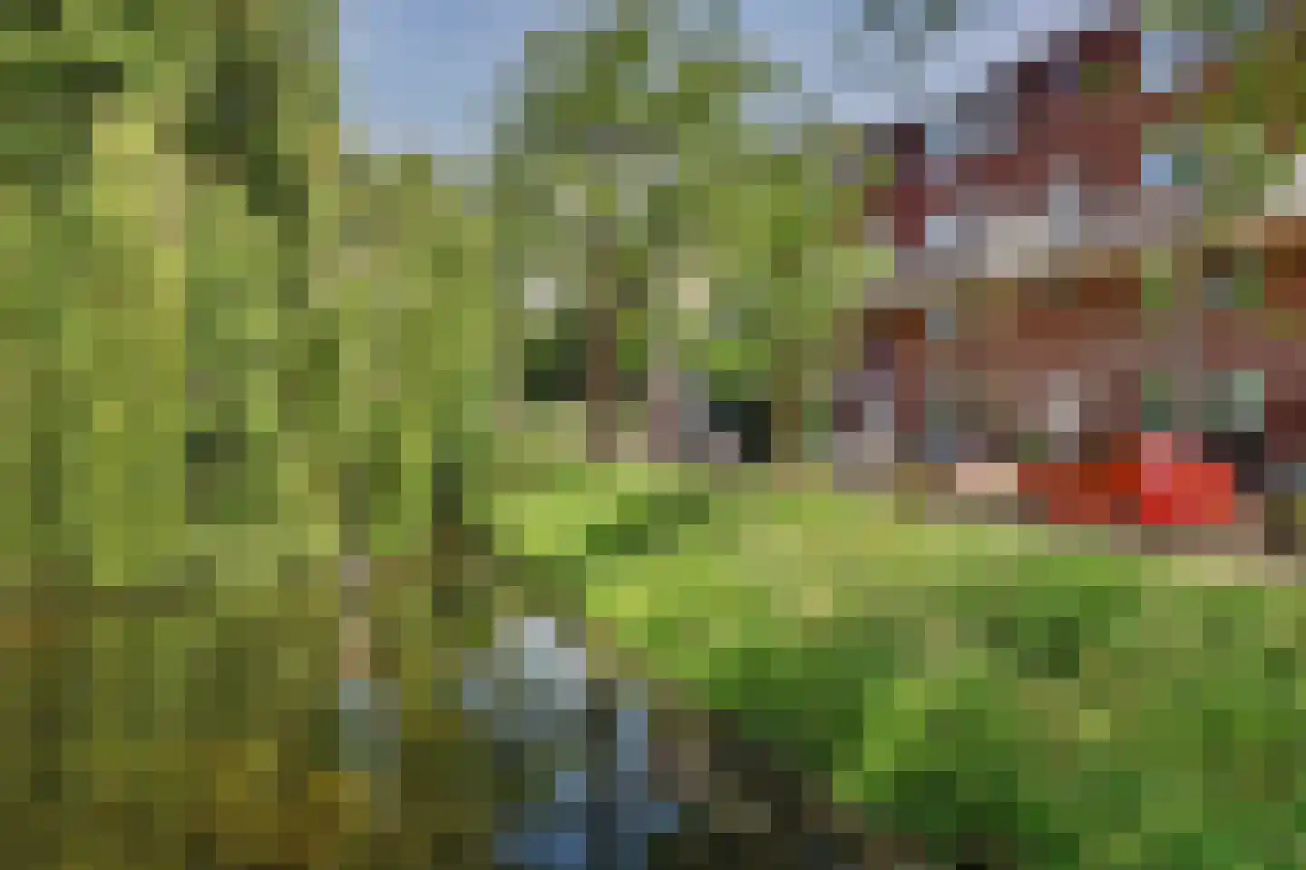 Nicolaas Arie van der Burgsingel 74 Schiedam thumbnail 31