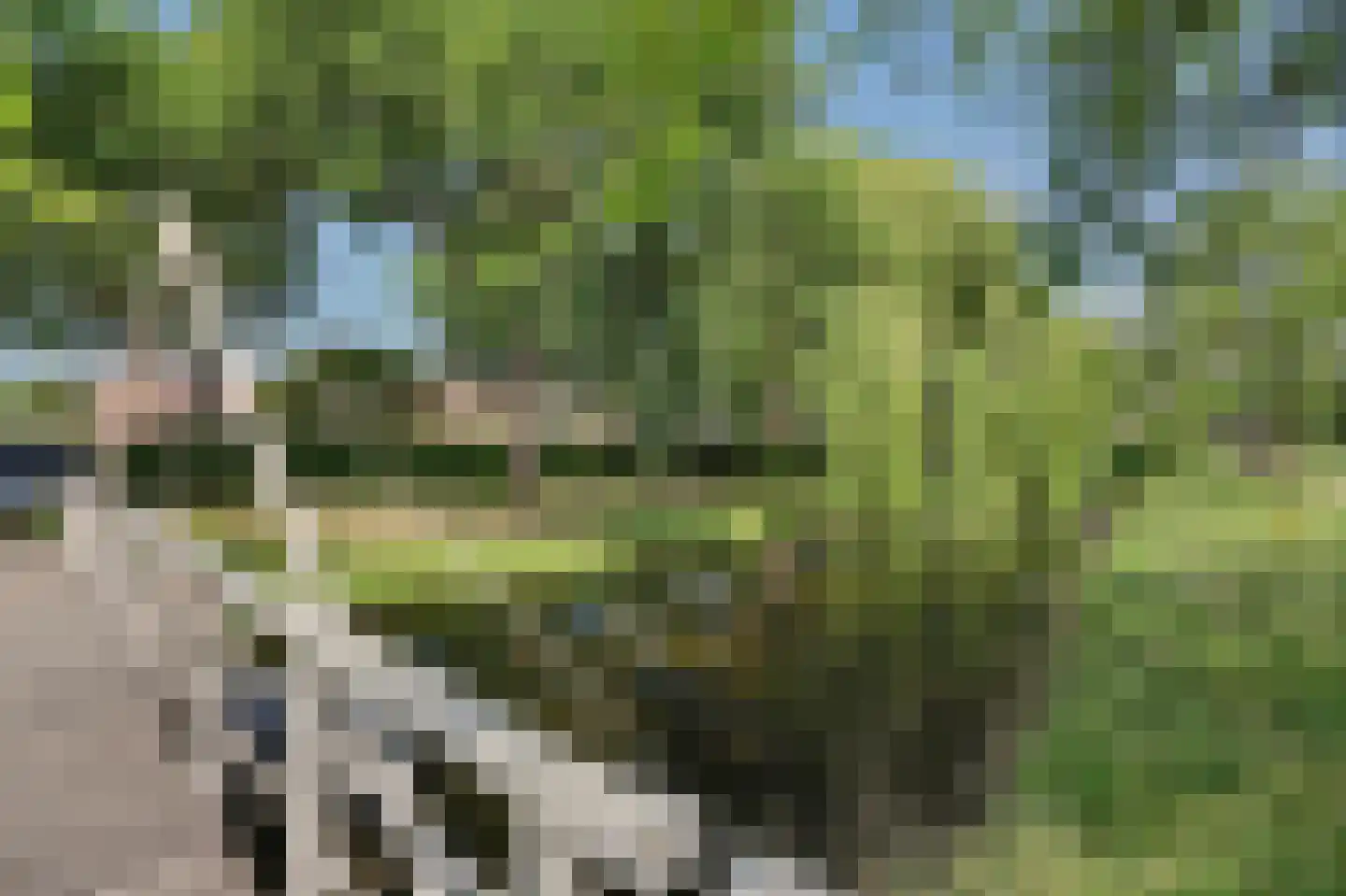 Nicolaas Arie van der Burgsingel 74 Schiedam thumbnail 32