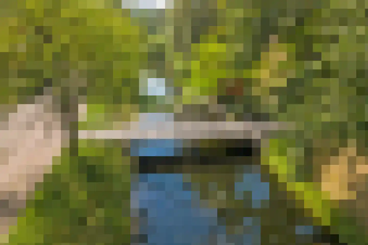 Nicolaas Arie van der Burgsingel 74 Schiedam thumbnail 41