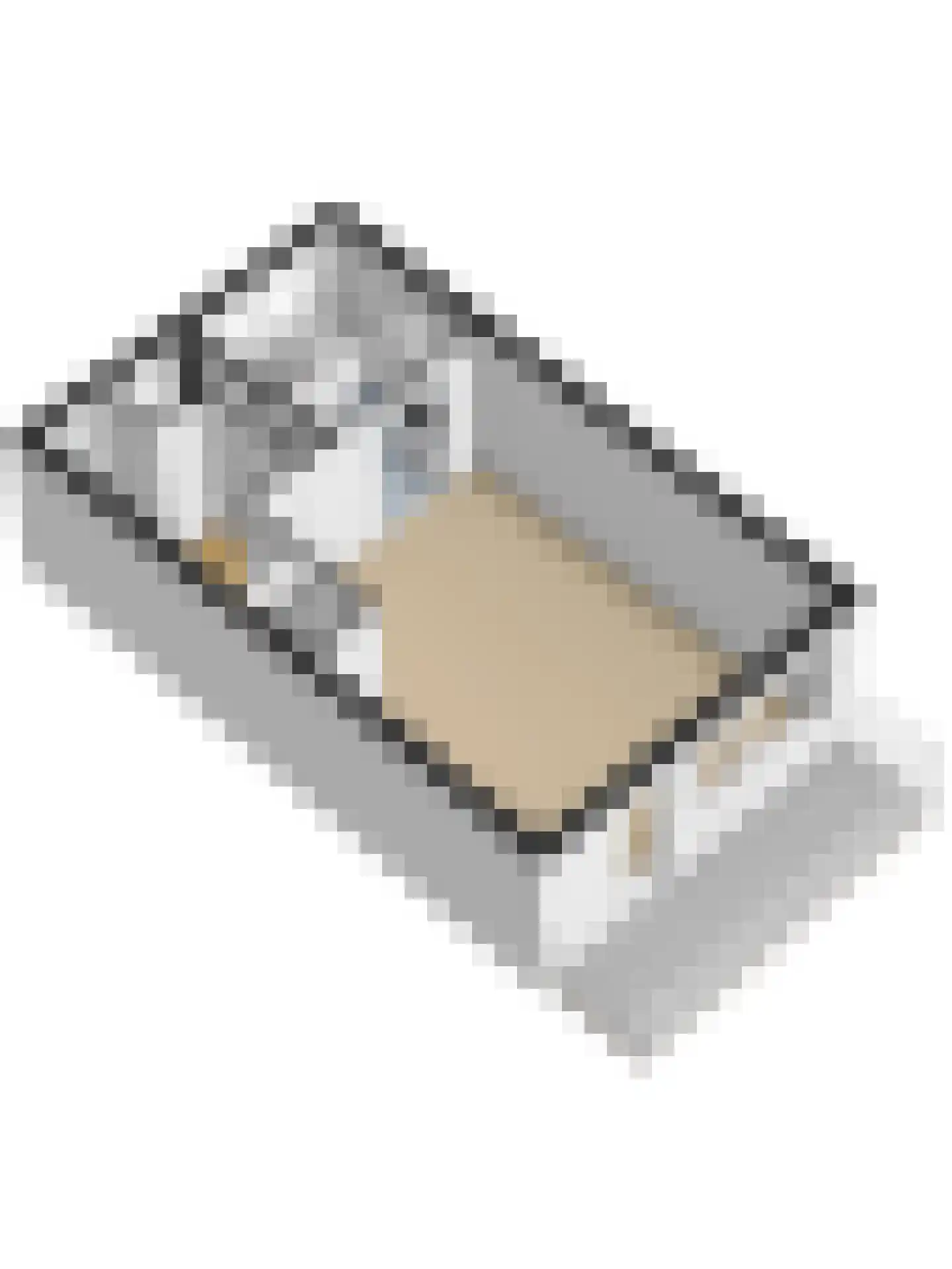 Nicolaas Arie van der Burgsingel 74 Schiedam thumbnail 46
