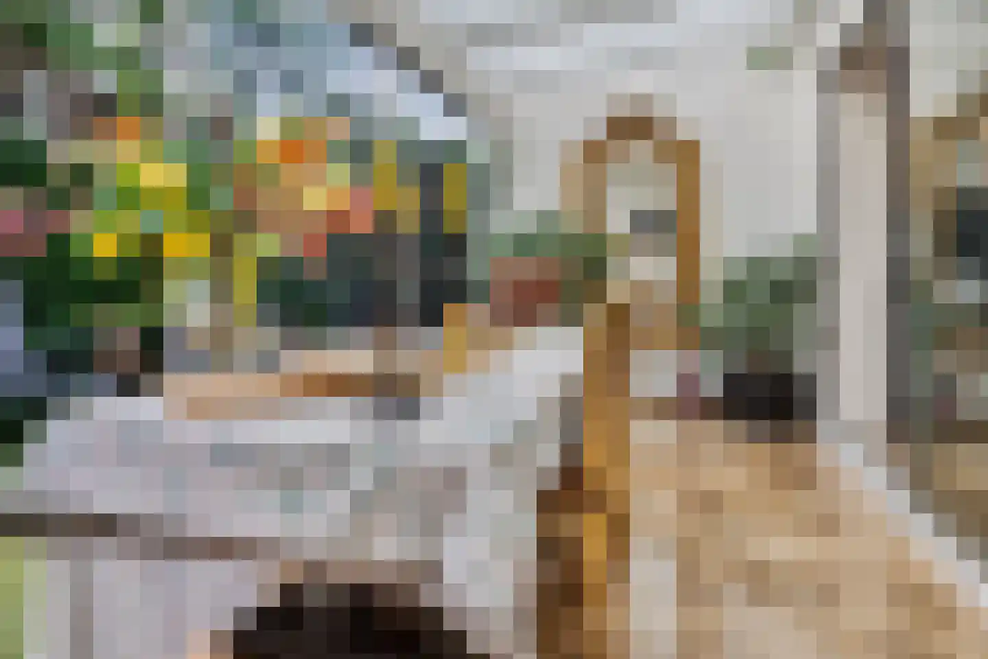Nicolaas Baurstraat 18 Harlingen thumbnail 35