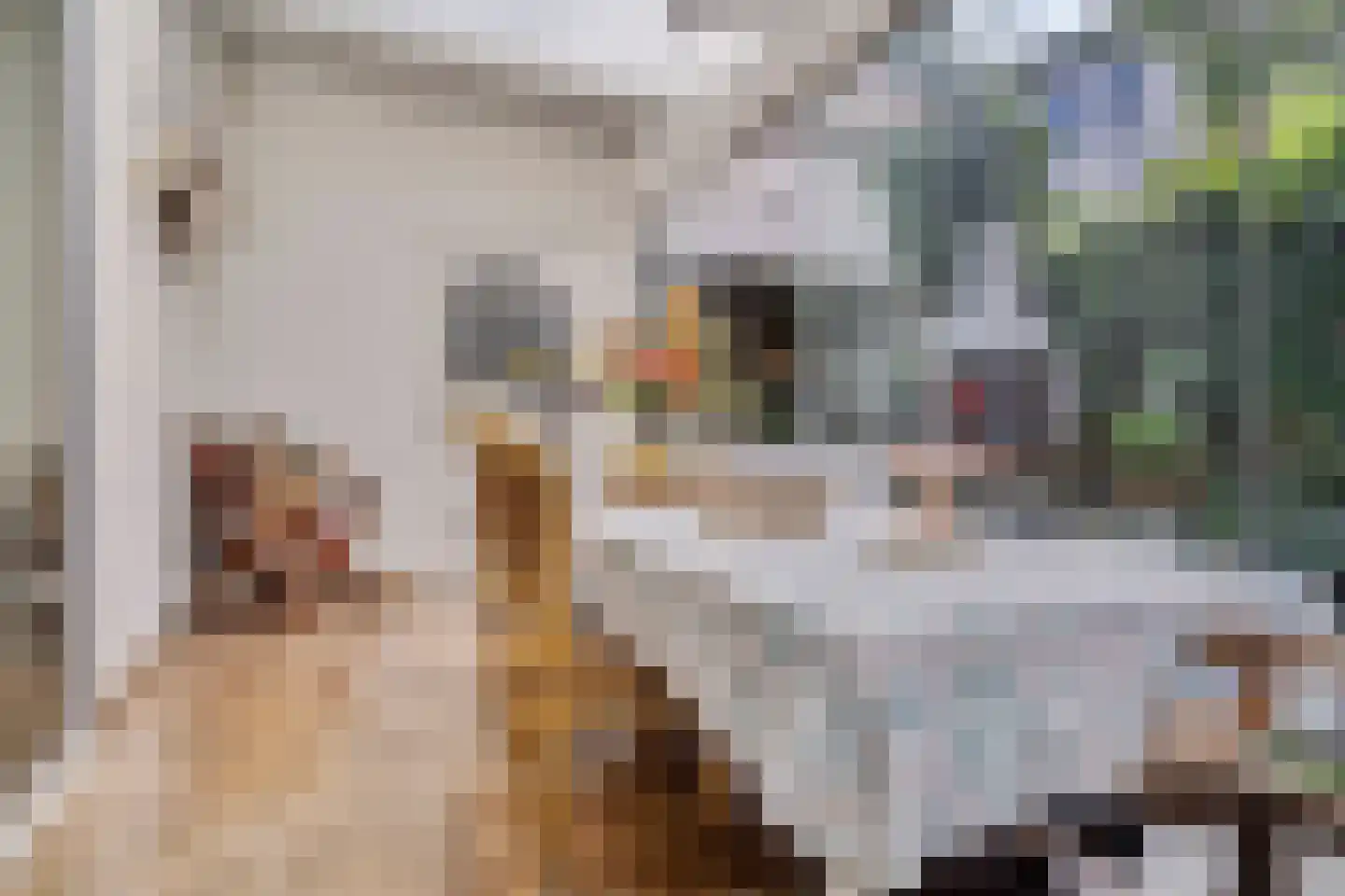 Nicolaas Baurstraat 18 Harlingen thumbnail 36