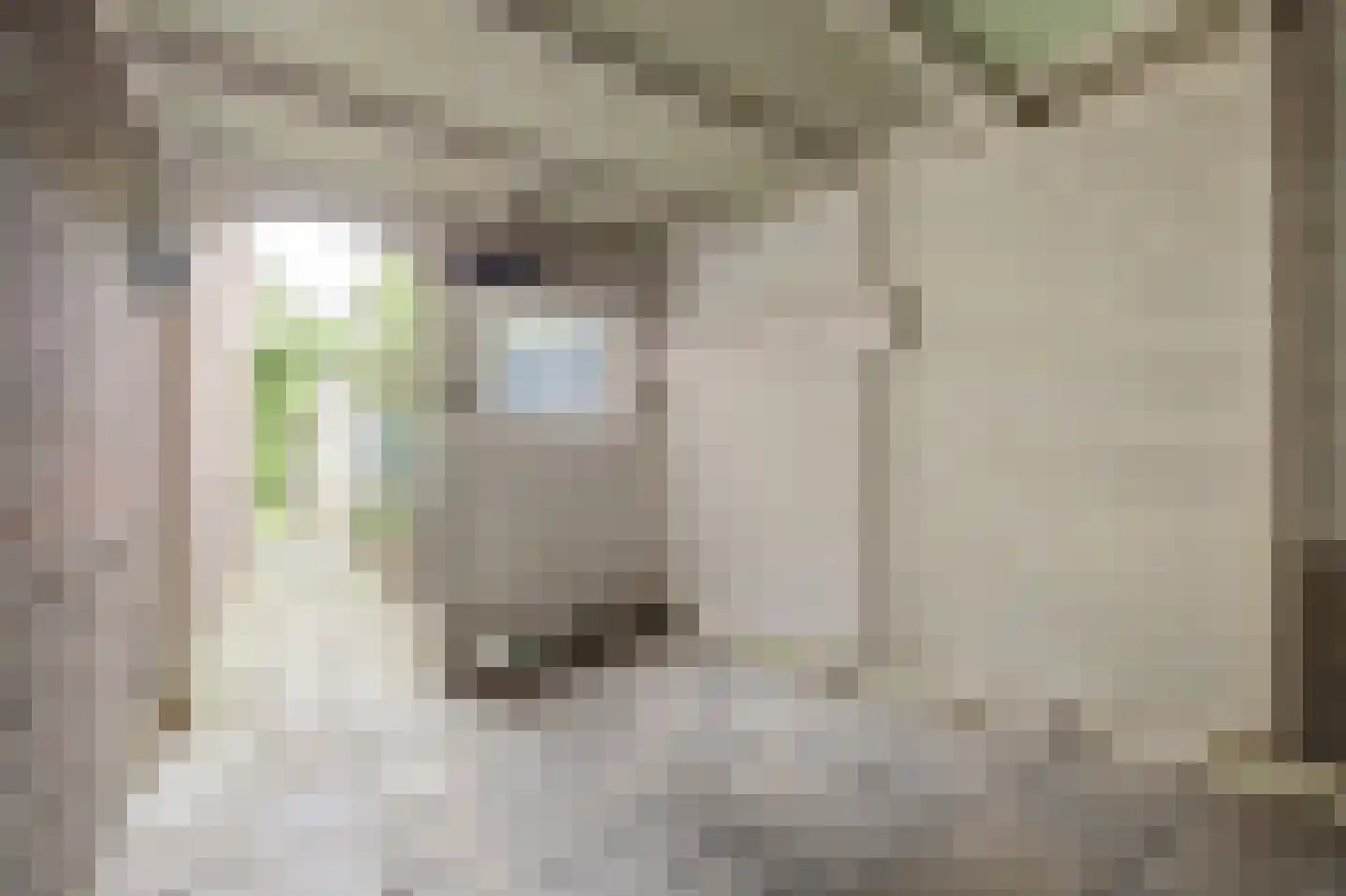 Nicolaas Baurstraat 6 Harlingen thumbnail 30