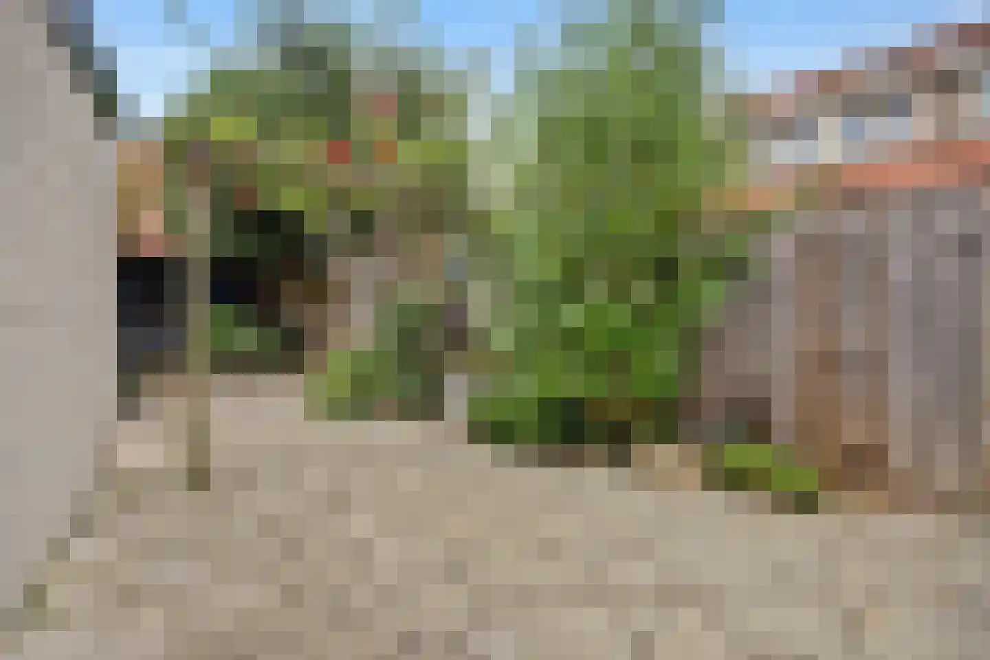 Nicolaas Baurstraat 6 Harlingen thumbnail 31