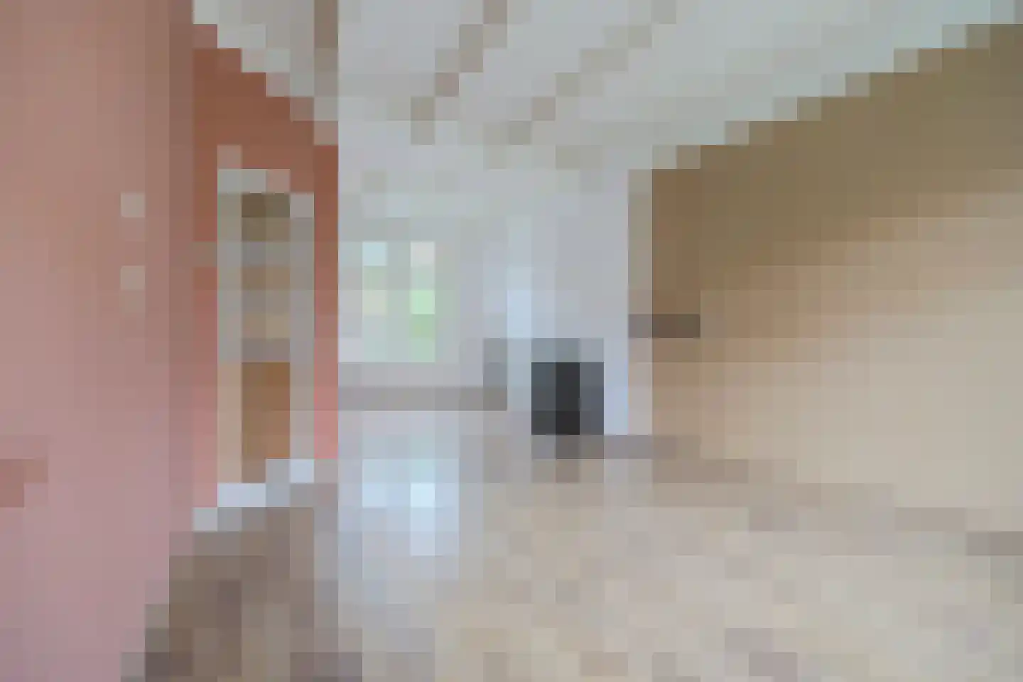 Nicolaas Baurstraat 6 Harlingen thumbnail 8