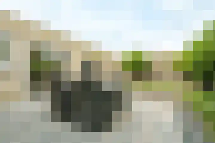 Nicolaas Beetshove 11 Nieuwegein thumbnail 22