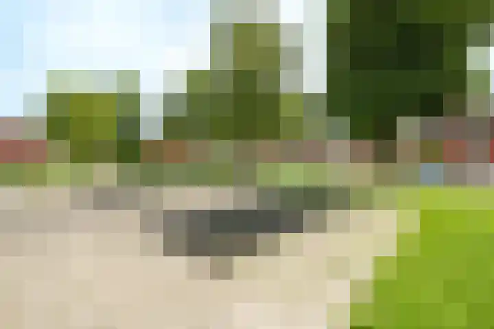 Nicolaas Beetshove 11 Nieuwegein thumbnail 25