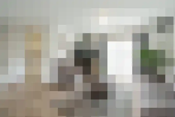Nicolaas Beetshove 11 Nieuwegein thumbnail 6