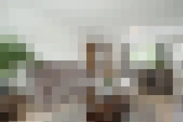 Nicolaas Beetshove 11 Nieuwegein thumbnail 7