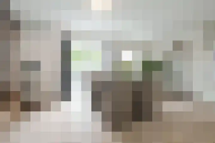 Nicolaas Beetshove 11 Nieuwegein thumbnail 9