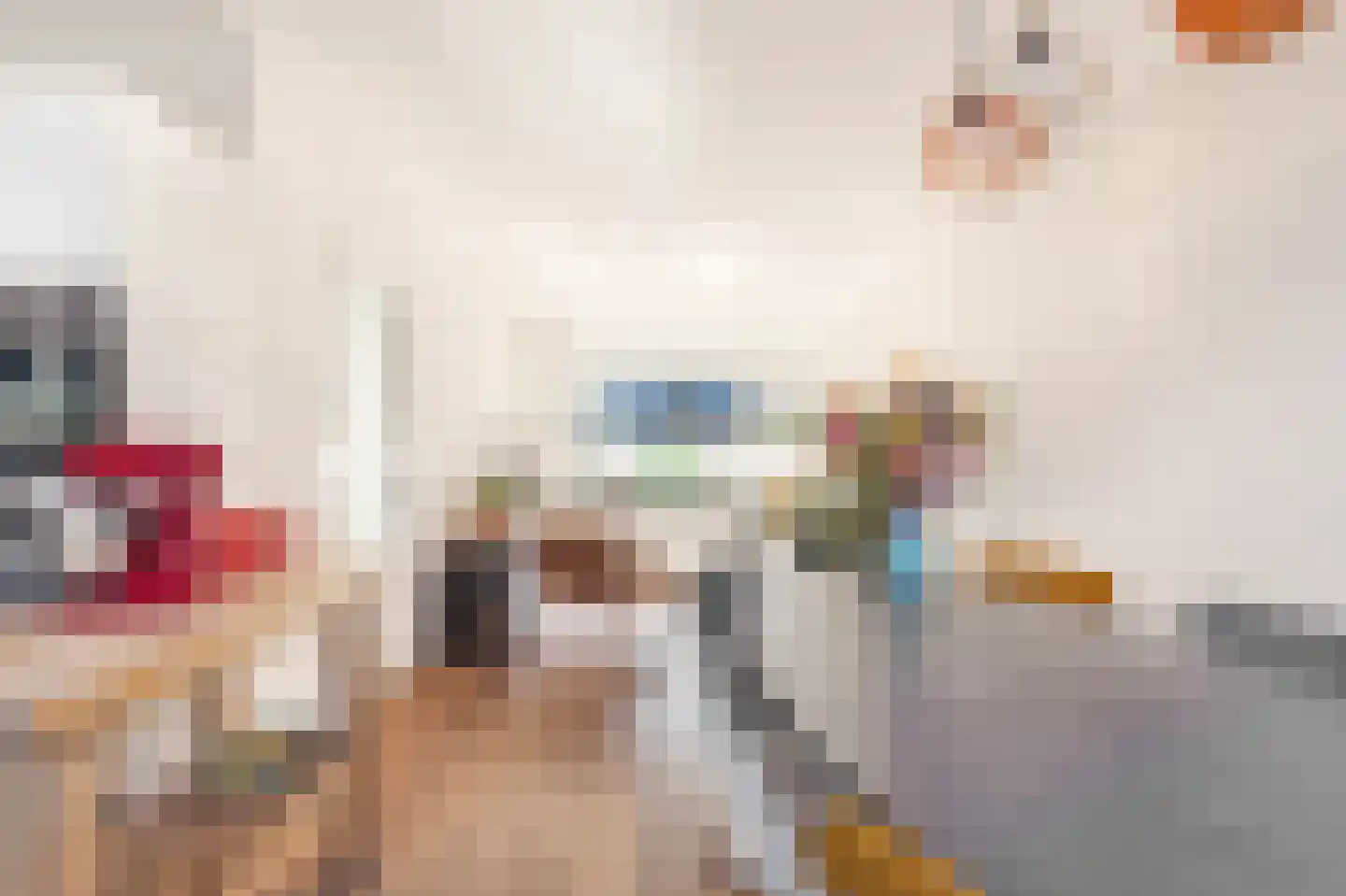 Nicolaas Beetskade 15 Alkmaar thumbnail 10