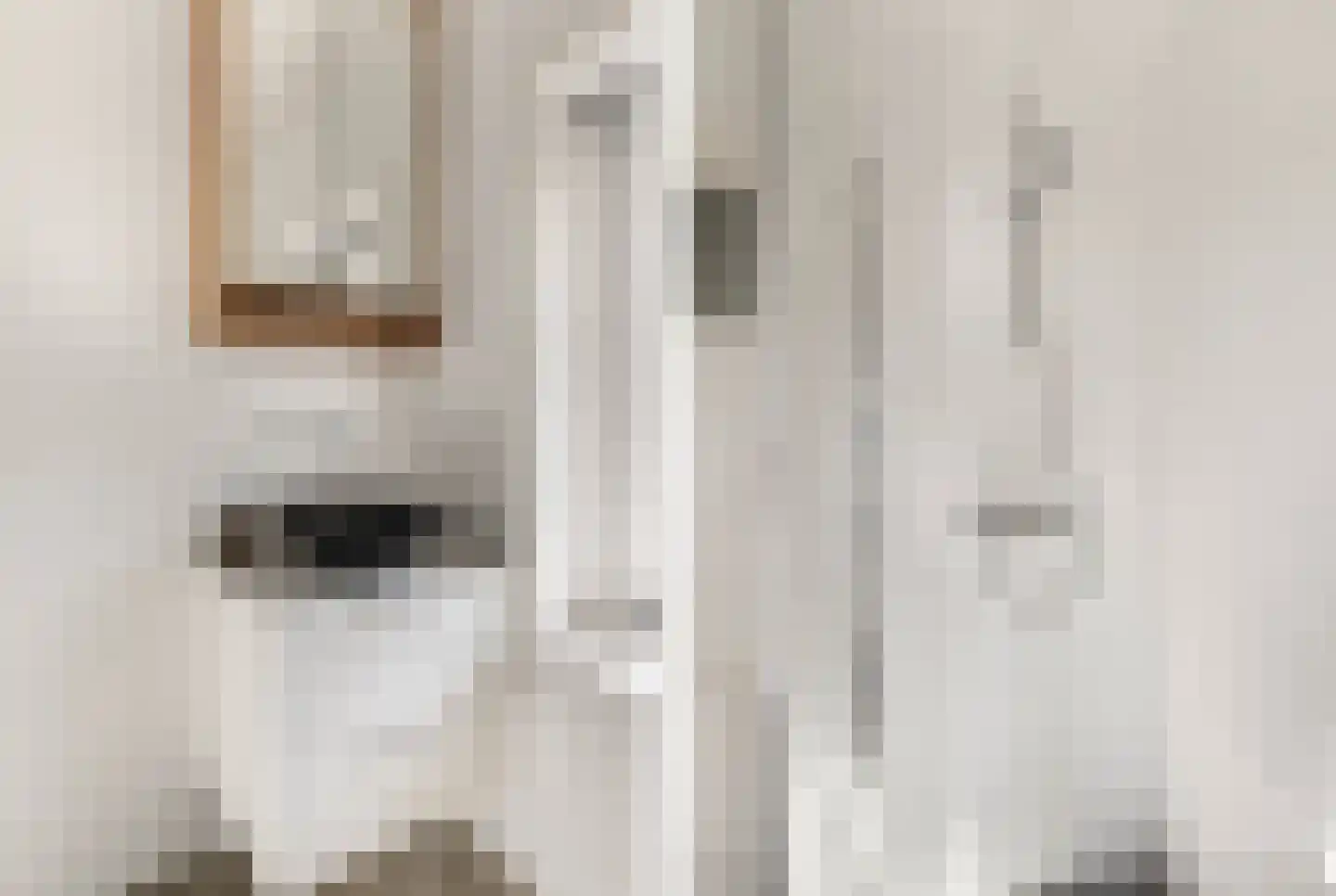 Nicolaas Beetskade 15 Alkmaar thumbnail 26