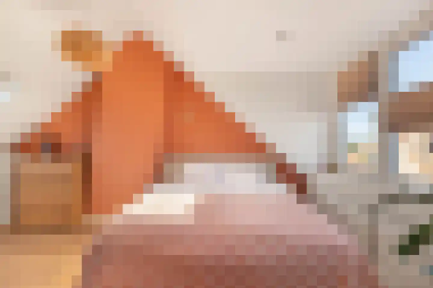 Nicolaas Beetskade 15 Alkmaar thumbnail 29