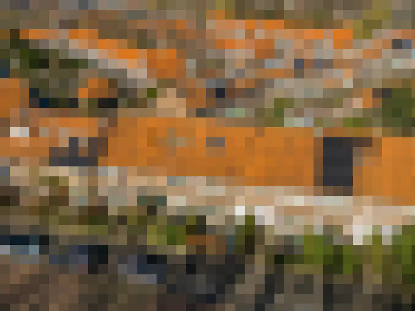 Nicolaas Beetskade 15 Alkmaar thumbnail 32