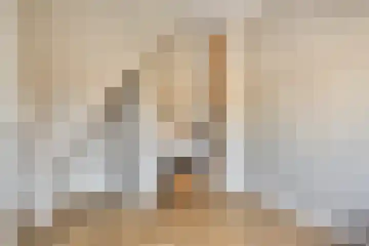 Nicolaas Beetskade 43 Alkmaar thumbnail 37