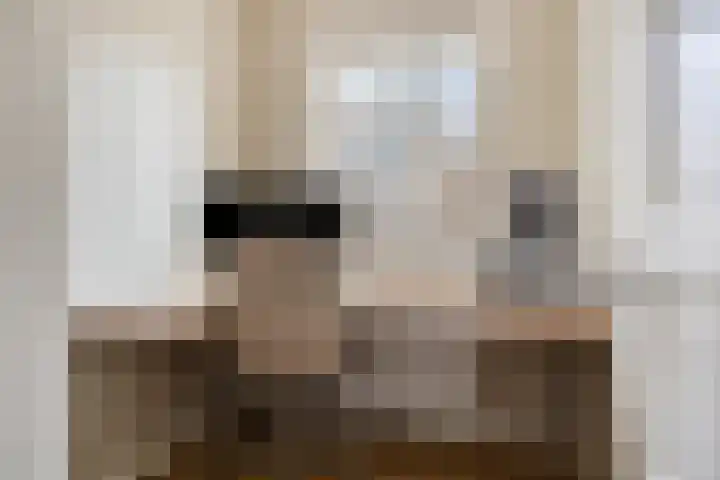 Nicolaas Beetskade 43 Alkmaar thumbnail 38