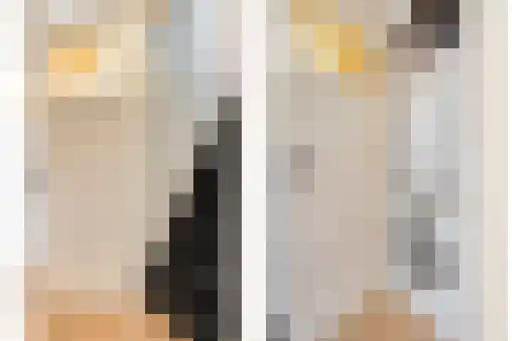Nicolaas Beetskade 43 Alkmaar thumbnail 39