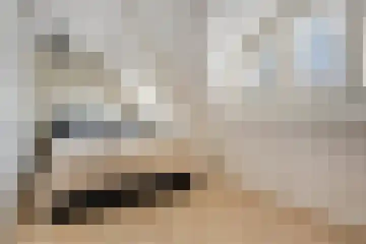 Nicolaas Beetskade 43 Alkmaar thumbnail 40