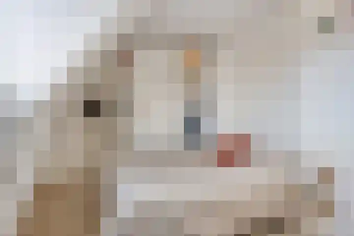 Nicolaas Beetskade 43 Alkmaar thumbnail 43