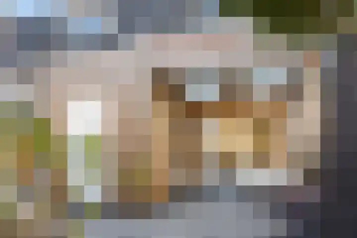 Nicolaas Beetskade 43 Alkmaar thumbnail 47