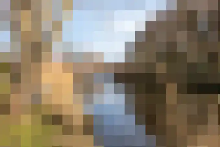 Nicolaas Beetskade 43 Alkmaar thumbnail 8