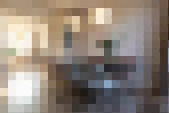 Nicolaas Beetskade 44 Alkmaar thumbnail 11