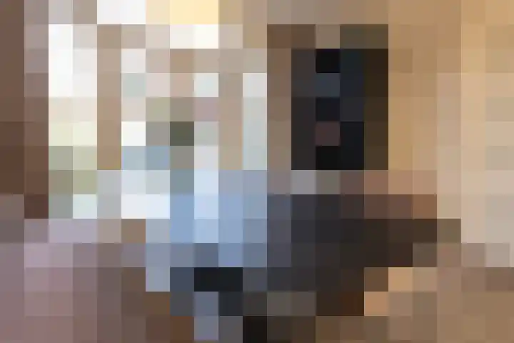 Nicolaas Beetskade 44 Alkmaar thumbnail 13