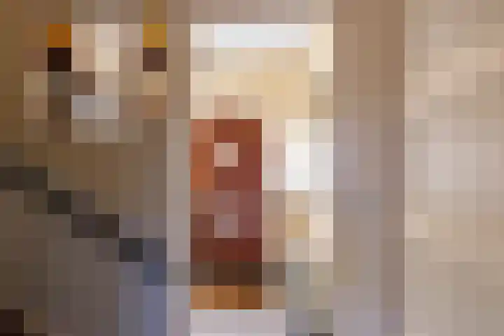 Nicolaas Beetskade 44 Alkmaar thumbnail 16