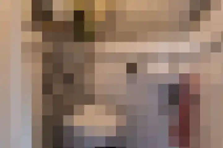 Nicolaas Beetskade 44 Alkmaar thumbnail 19